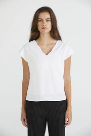 SCALLOP TOP