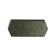 GLASSES CASE - OLIVE OSTRICH PRINT