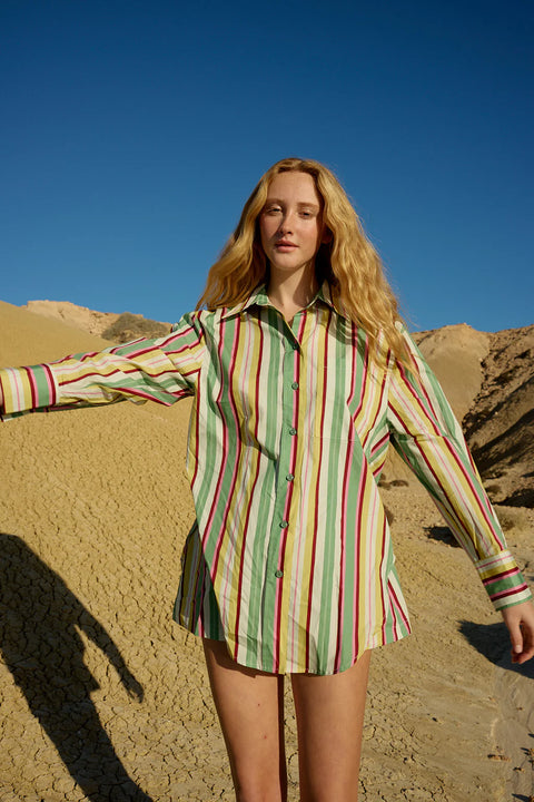 BUDDY SHIRT - MEADOW STRIPE