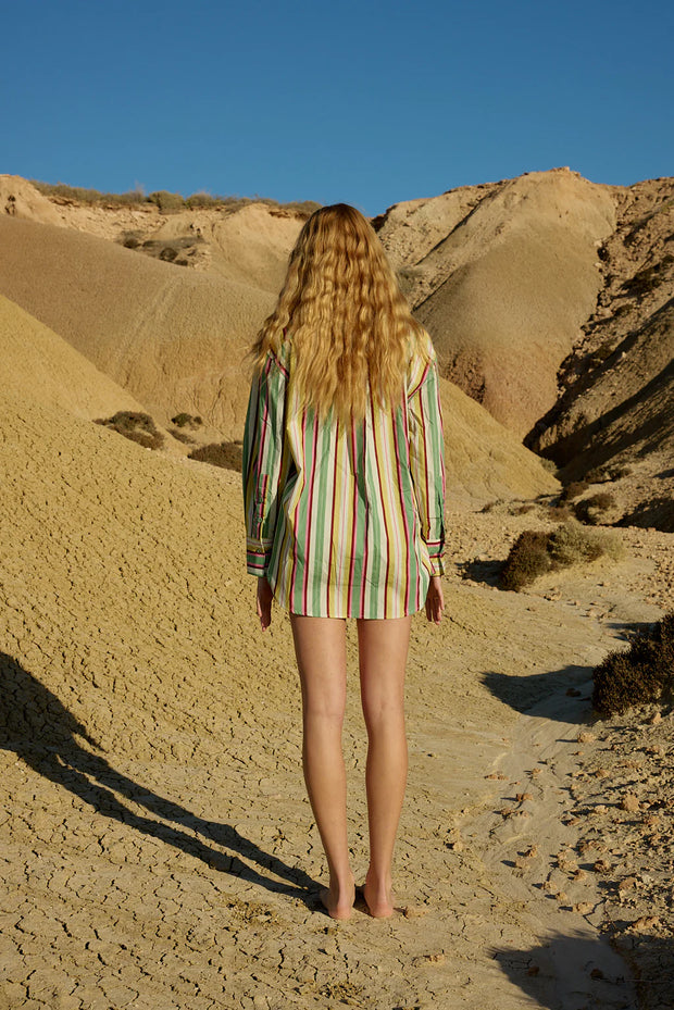 BUDDY SHIRT - MEADOW STRIPE