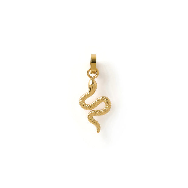 SERPENT CHARM