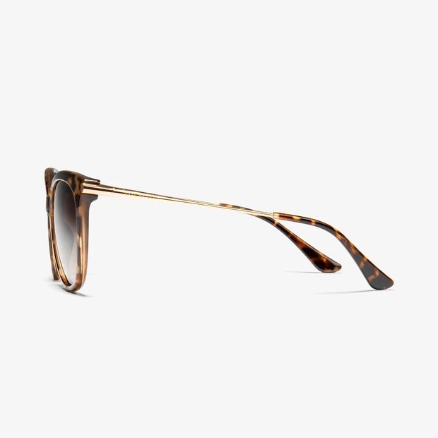ASHLEY - TORTOISESHELL BROWN