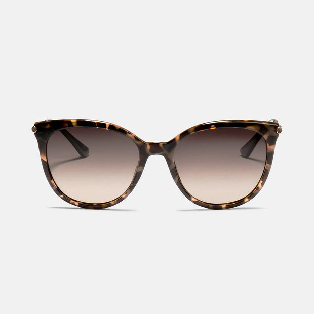 ASHLEY - TORTOISESHELL BROWN