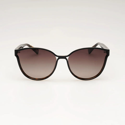 SERENITY - OMBRE TORTOISESHELL BROWN